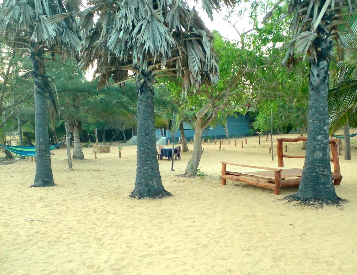 Beach Bungalow Yala Kirinda  Eksteriør billede