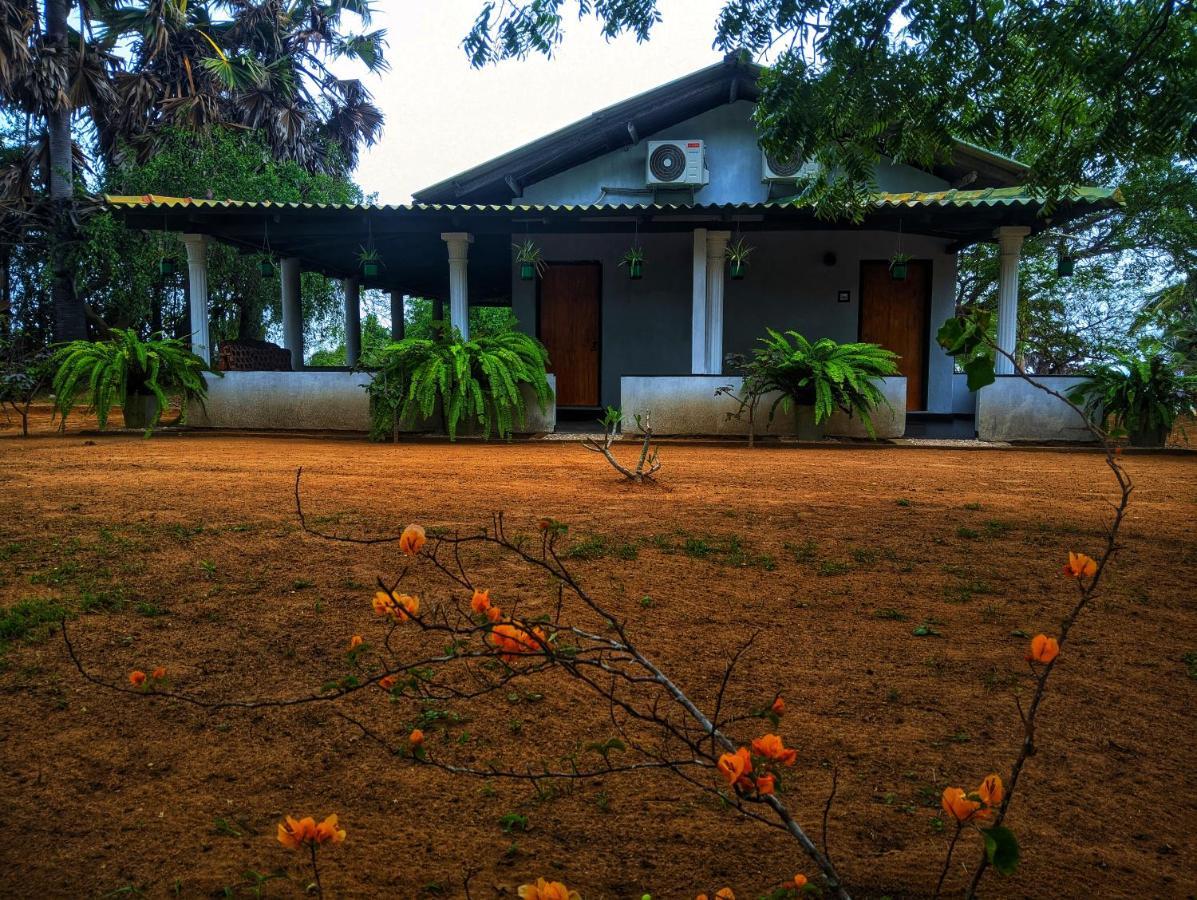 Beach Bungalow Yala Kirinda  Eksteriør billede