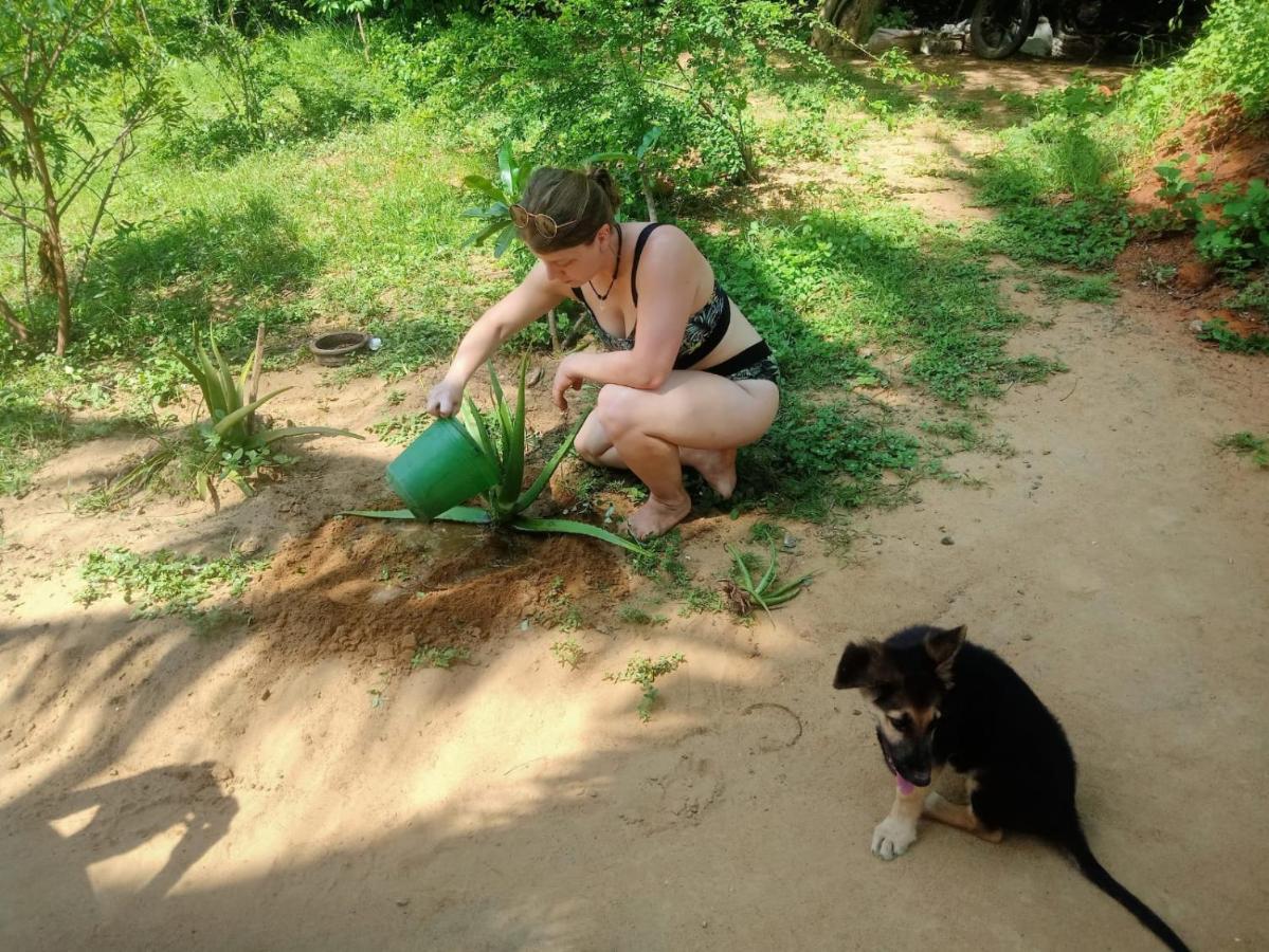 Beach Bungalow Yala Kirinda  Eksteriør billede
