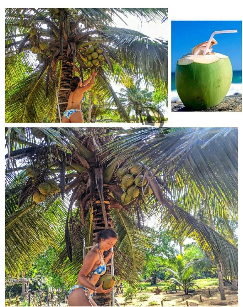 Beach Bungalow Yala Kirinda  Eksteriør billede